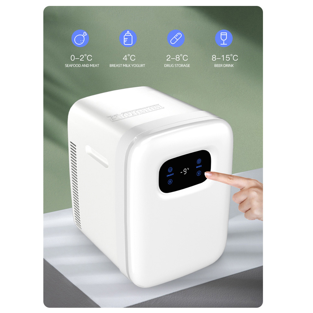 20L Auto Kühlschrank Tragbare  – Beauty Makeup Fridge Bewertung und Preis