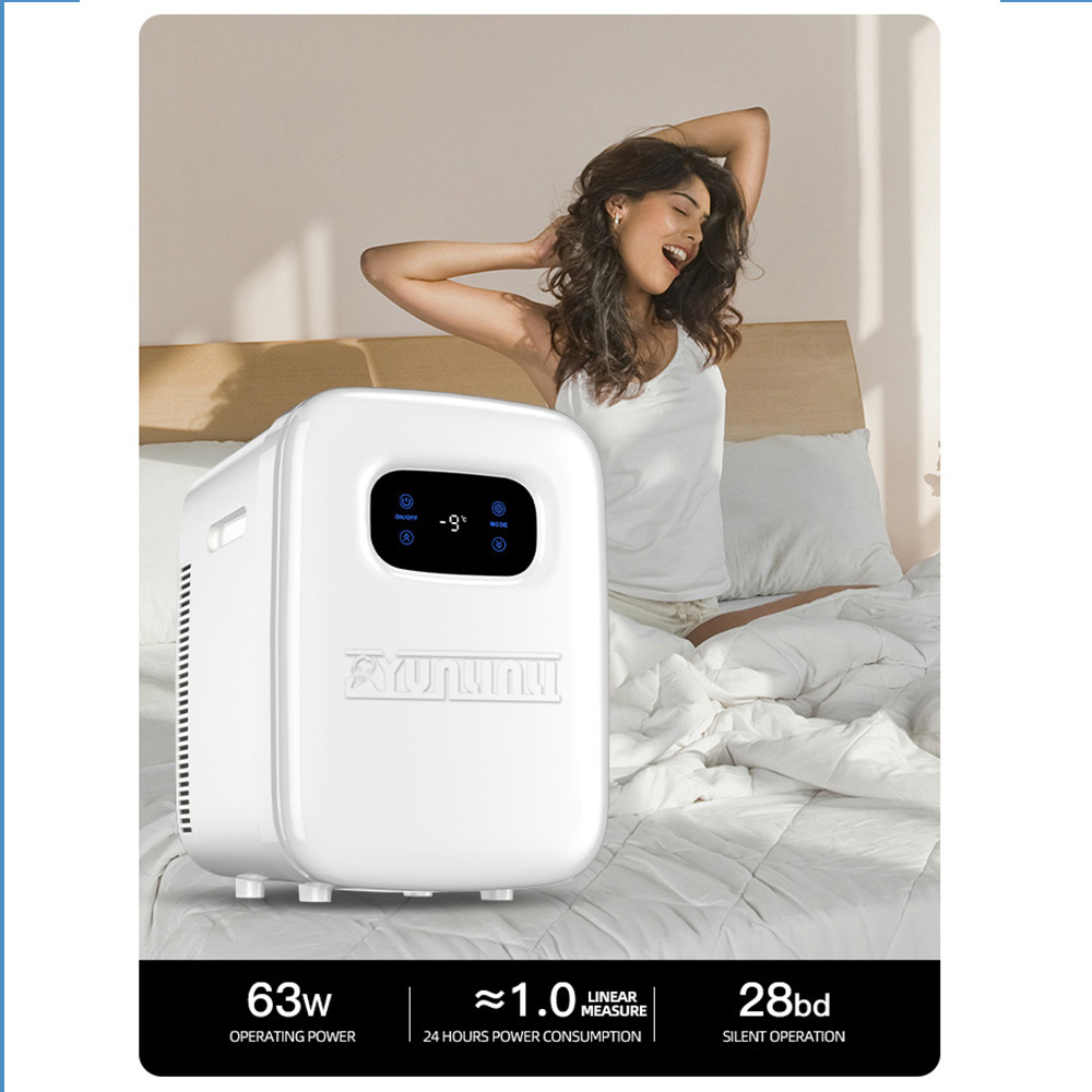 20L Auto Kühlschrank Tragbare  – Beauty Makeup Fridge Bewertung und Preis