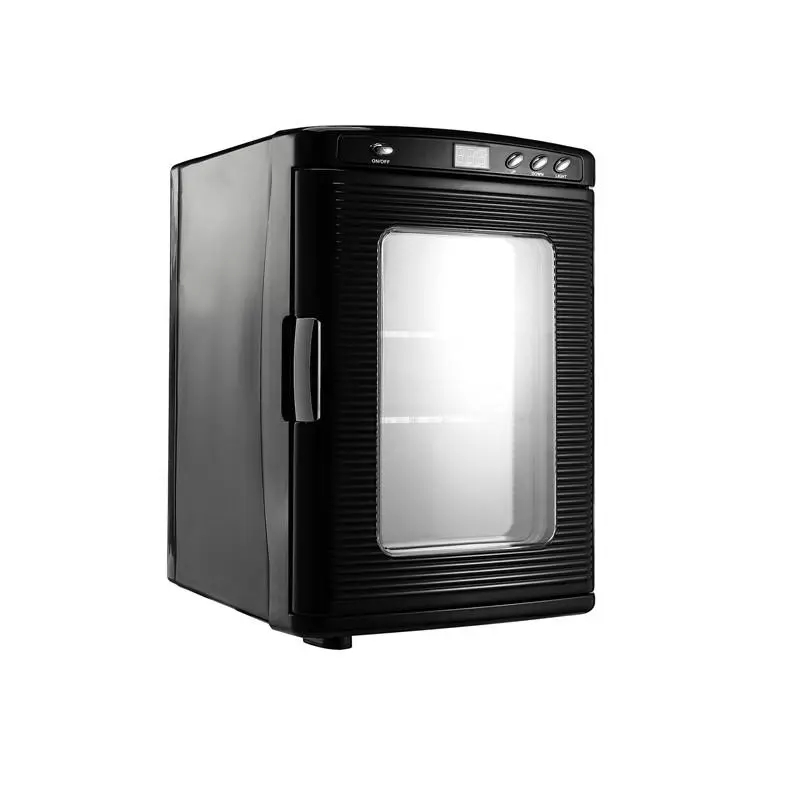 48L Tragbarer Kühler Mini-Kühl – Beauty Makeup Fridge Bewertung und Preis