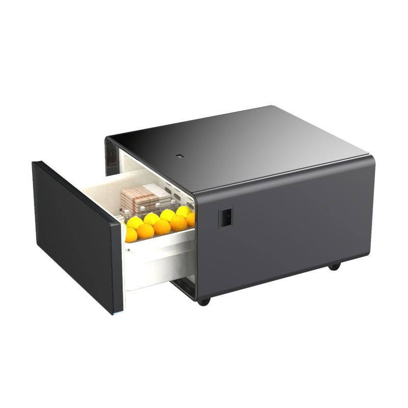 Make-up-Schönheitskühlschrank, – Beauty Makeup Fridge Bewertung und Preis