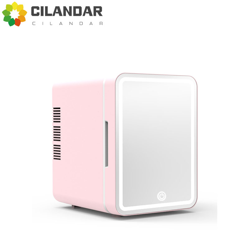 Dual-Use Mini-Kühlschrank mit  – Beauty Makeup Fridge Bewertung und Preis