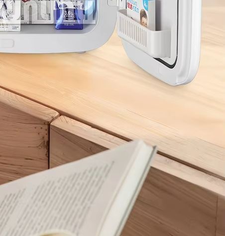 20L Tragbare Kühlschrank Multi – Beauty Makeup Fridge Bewertung und Preis