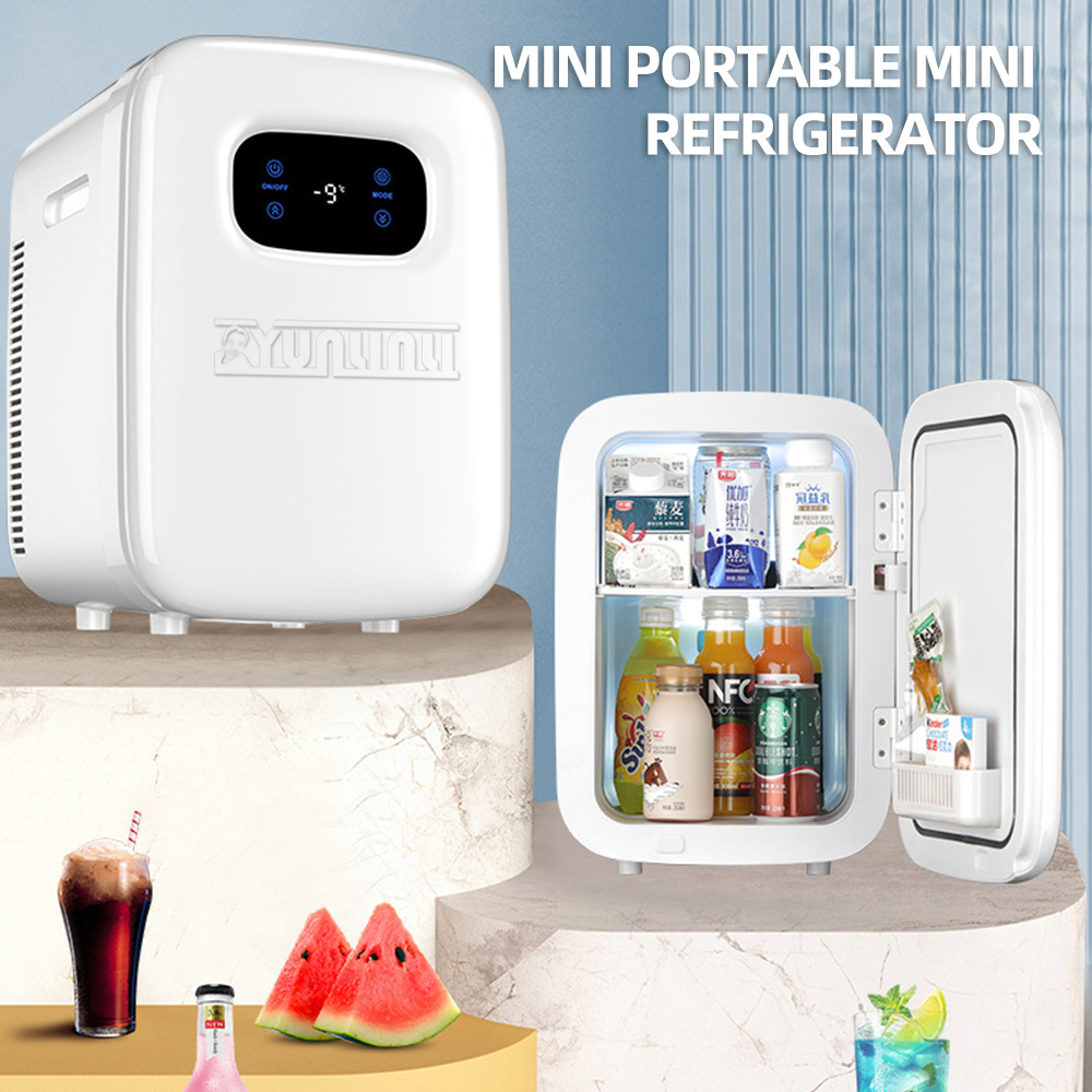 20L Tragbare Kühlschrank Multi – Beauty Makeup Fridge Bewertung und Preis
