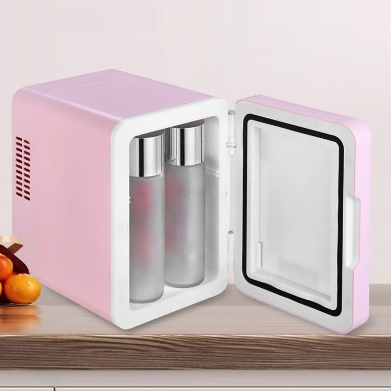 Tragbarer Mini-Make-up-Kühler, – Beauty Makeup Fridge Bewertung und Preis