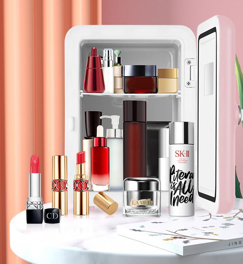Dual-Use 4L Home Car Use Kühls – Beauty Makeup Fridge Bewertung und Preis