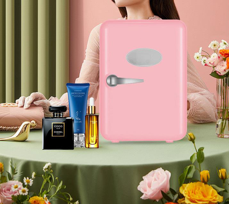 Dual-Use 4L Home Car Use Kühls – Beauty Makeup Fridge Bewertung und Preis