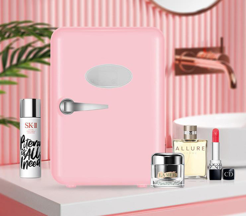 Dual-Use 4L Home Car Use Kühls – Beauty Makeup Fridge Bewertung und Preis