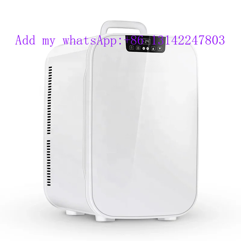Makelloser Kühlschrank mit Gla – Beauty Makeup Fridge Bewertung und Preis